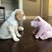 Mary Lou Van Severen - Facebook