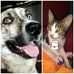 Mary Sevilla - Facebook