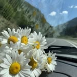 Mary Sewing - @_mary_sewing_ - Instagram