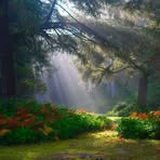 Mary Shaikh - Facebook