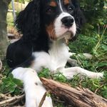 mary lydia sharples - @flowerfairy82 - Instagram