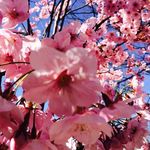 Mary Sharples - @sharples955 - Instagram
