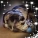Mary Sharrow - Facebook