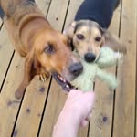 Mary Shaub - @mshaub2003 - Instagram