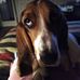 Mary Shaub - Facebook