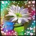 Mary Shaub - Facebook