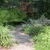 Mary Ann Shawcross - Facebook