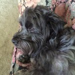 Mary - @maryshawcross - Instagram