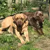 mary sheahan - @mary.sheahan - TikTok