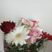 Maria Shubert - Facebook