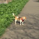 Mary Shevlin - @maryshevlin63 - Instagram