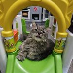 Mary Shimko Washney - @mwashney - Instagram