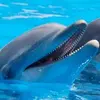 Mary Showers2753 - @maryshowers123 - TikTok