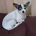 Mary Haun Shrout - Facebook