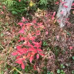Mary Marty Shubert - @mshubie2 - Instagram