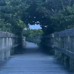 Mary shubert - @shubert4434 - Instagram