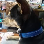 Mary Shultz - @mary.shultz.545 - Instagram