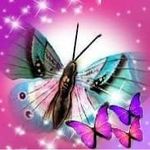 Mary Sickler - @mary.sickler.121 - Instagram
