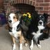 Mary Siddall - Facebook
