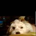 Mary Sidwell - Facebook