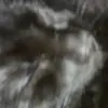 Mary siebert - @mary.siebert8 - TikTok