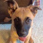 Mary Siegfried - @muddy1914 - Instagram