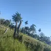 Mary Silvan - @mary.silvan7 - TikTok