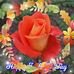 Mary Simatos - Facebook