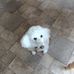 Mary Simmer - Facebook
