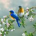 Mary Simmer - Facebook