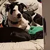 Mary Singleton - @mary.singleton83 - TikTok