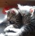 Mary Sippel - Facebook