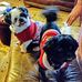 Mary Sisko - Facebook