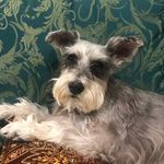 Mary Sisko - @siskomary - Instagram
