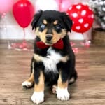 Mary Sisler - @cbsisler - Instagram