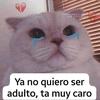 Marysita - @marysita.6 - TikTok