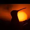 Mary Rodriguez8382 - @marysitardz - TikTok