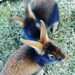 Marie Sitzmann - @mary_xd._insta - Instagram