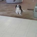 Mary Skeeters - @mary.skeeters.10 - Instagram