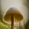 Mary Sol Urista - @mary.sol.urista - TikTok