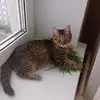 😎Маруся😎 - @marys.opko - TikTok