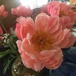 Mary Sox - @mary_sox345 - Instagram