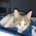 Mary Spadafora - Facebook