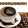 mary spadaro - @mary556spadaro - TikTok