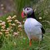 Mary Spang - Facebook