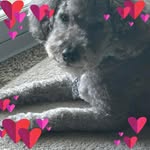 Mary Spangler - @mary.spangler.37 - Instagram