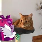 Mary Anne Spangenberg - @spangenbergmaryanne - Instagram