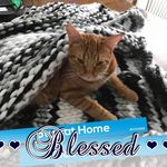 Mary Anne Spangenberg - @maryannespangenberg - Instagram