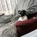Mary Sparrow - Facebook