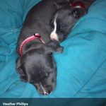 Mary Spates - @rose.spates123 - Instagram